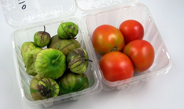 Tomatillos and Tomatoes