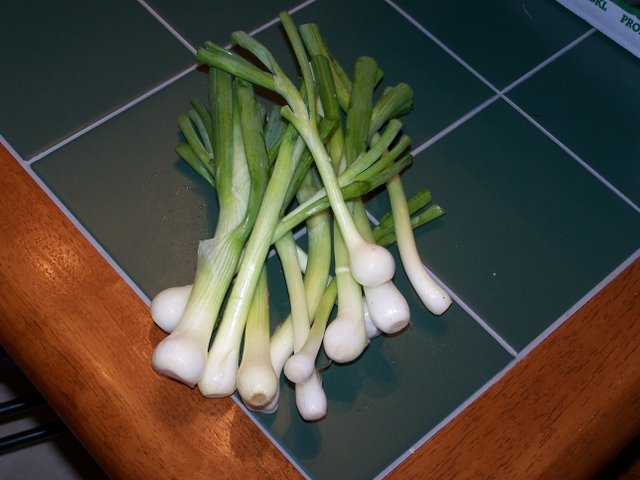 More Green Onions