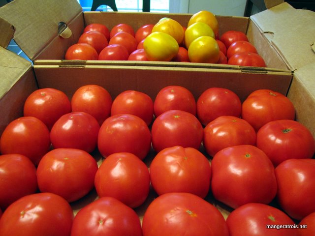 Big tomatoes