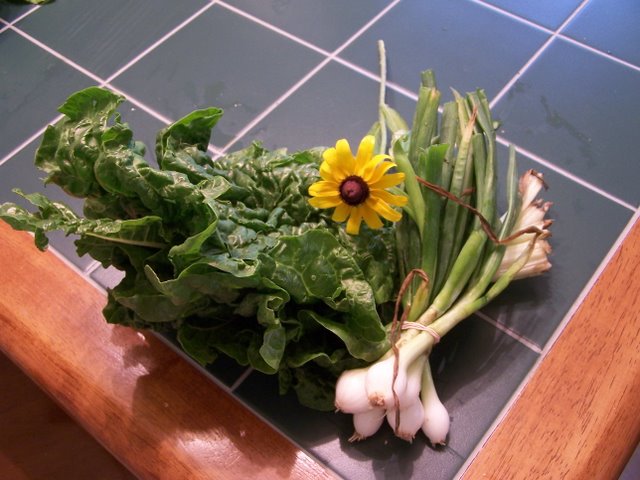 Chard and Green Onion
